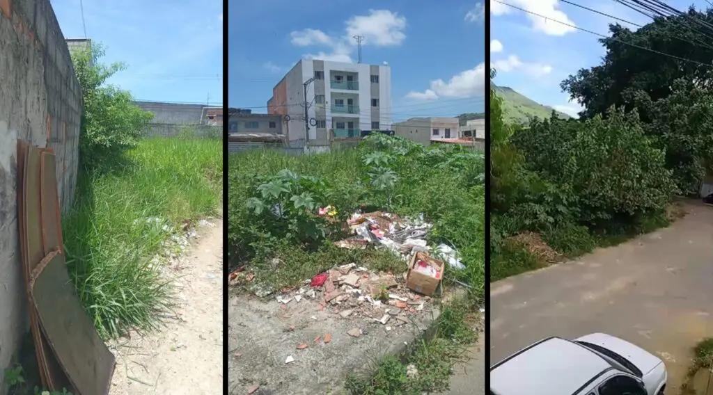 Situação do mato encontrado em bairros da Serra