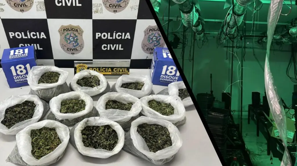 DENARC detona super laboratório para cultivo de maconha na Serra