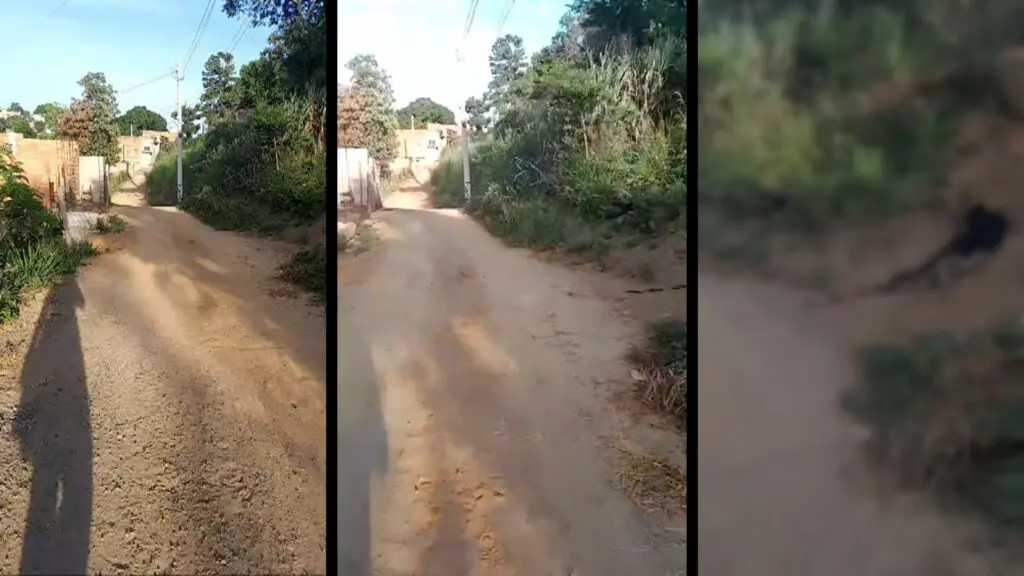 Guerra do Tráfico: Moradora sai para caminhar e encontra corpo de jovem na Serra Guerra do Tráfico: Moradora sai para caminhar e encontra corpo de um jovem na Serra