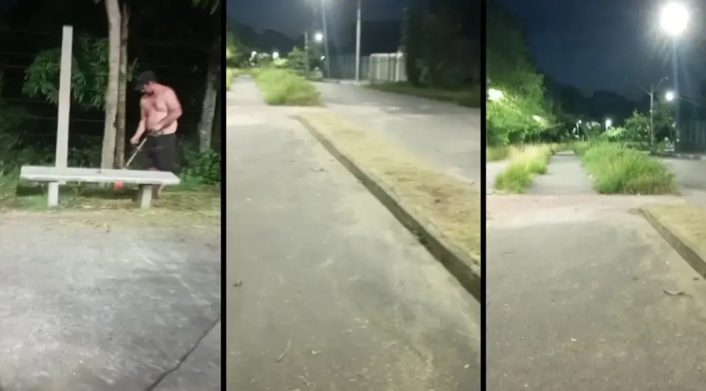 Mato em Cidade Continental