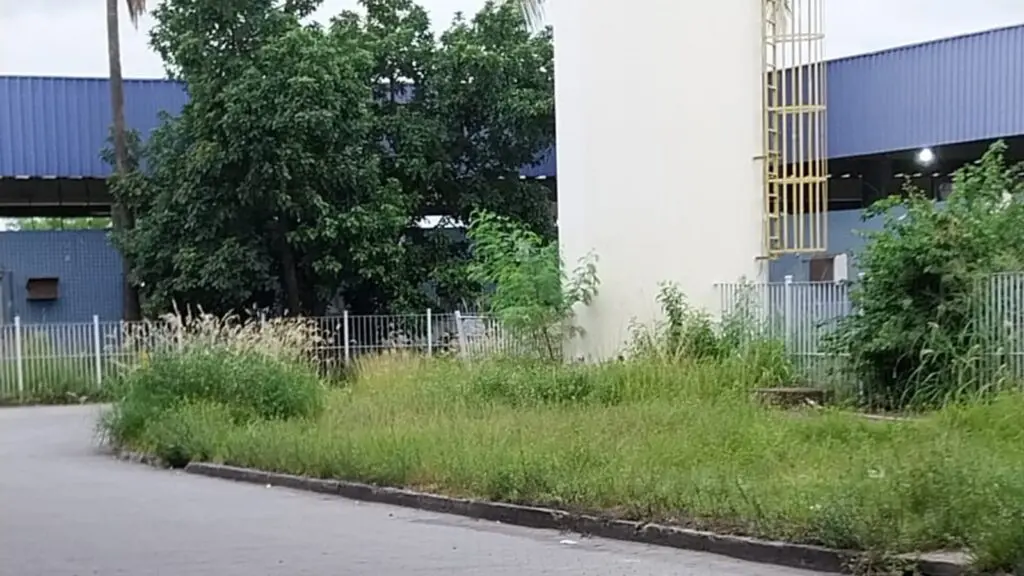 Vídeo: Passageiro expõe matagal em Terminal de Laranjeiras e pede providências na Serra