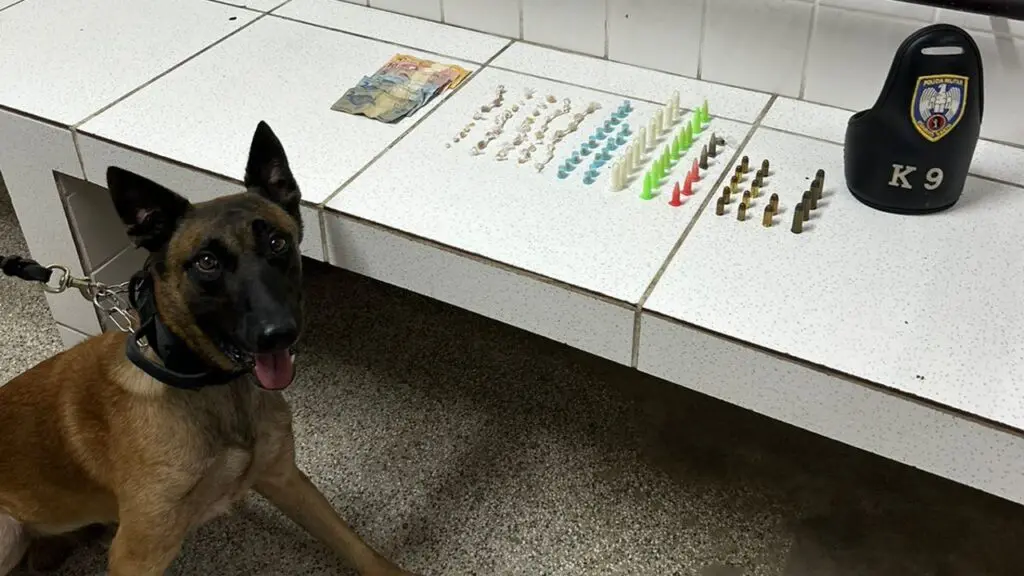 Polícia Militar encontra salão de beleza recheado de drogas em Jacaraípe Fim de semana agitado para a Polícia Militar com várias apreensões de drogas na Serra