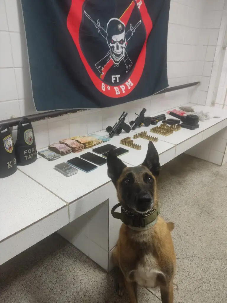 Materiais apreendidos durante a ação das equipes da Força Tática sobre uma bancada na delegacia, ao lado das apreensões o cão farejador Apollo.