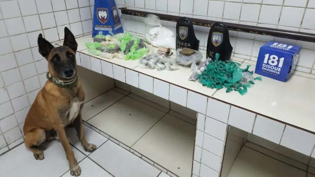 Força Tática dá pancada no tráfico e apreende mais de 6 Kg de drogas na Serra.