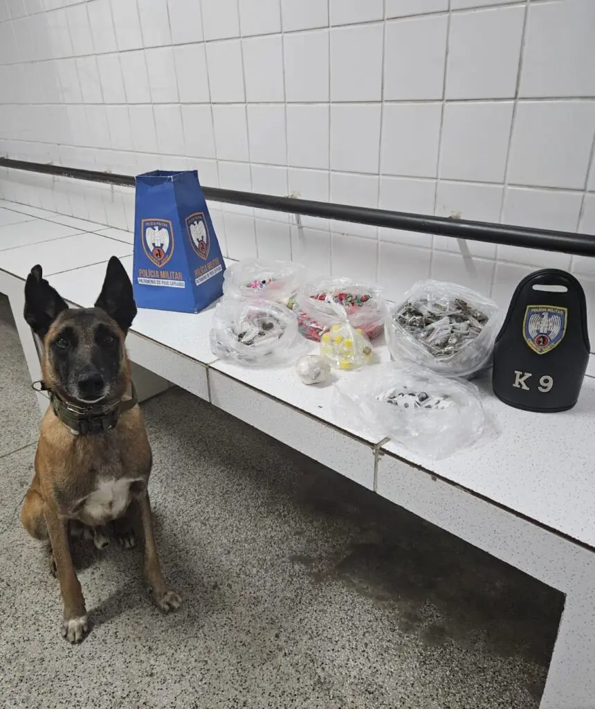 Sobre uma bancada drogas apreendidas pela equipe da Força Tática, 493 buchas de maconha, 112 buchas de haxixe, 797 pedras de crack, 58 buchas de Skank, 10 frascos de loló, e ao lado da bancada um cão farejador da Polícia Militar.