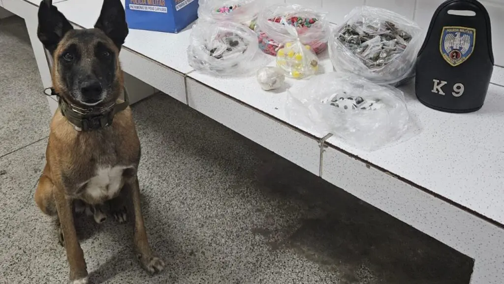 Polícia Militar apreende grande quantidade de drogas na Serra.