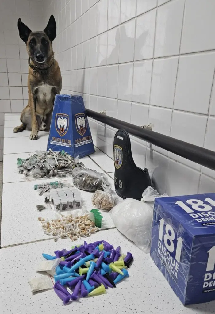 Cão Apollo ao lado das drogas apreendidas pela PM.