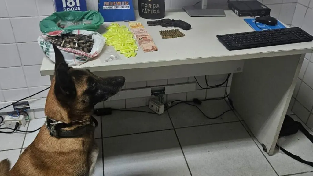 Força Tática arrocha traficante e apreende drogas e arma em barbearia na Serra Polícia Militar detêm barbeiro e apreende grande quantidade de drogas na Serra.