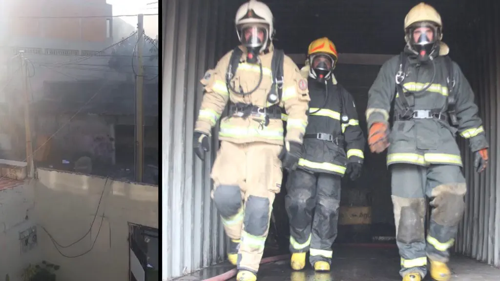 Vídeo: Mulher que matou vizinho a facada tem casa saqueada e incendiada na Serra Criminosos incendiam casa de mulher que matou vizinho em Feu Rosa.