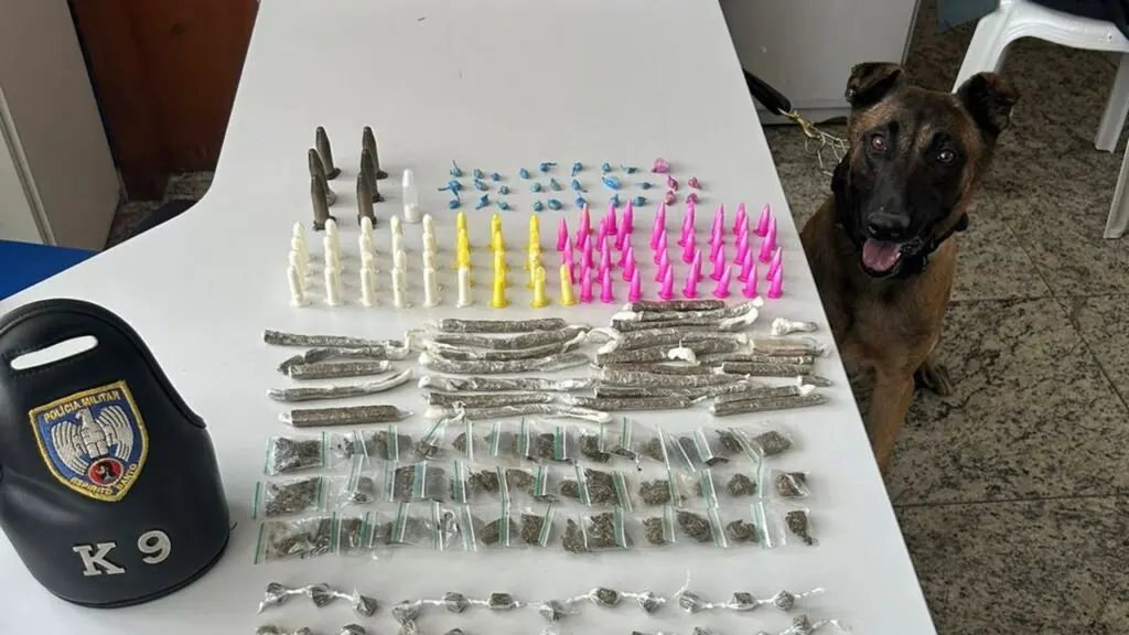 Polícia Militar apreende grande quantidade de drogas com ajuda do cão farejador Zorg em Jacaraípe Polícia Militar apreende grande quantidade de drogas durante patrulhamento em Jacaraípe
