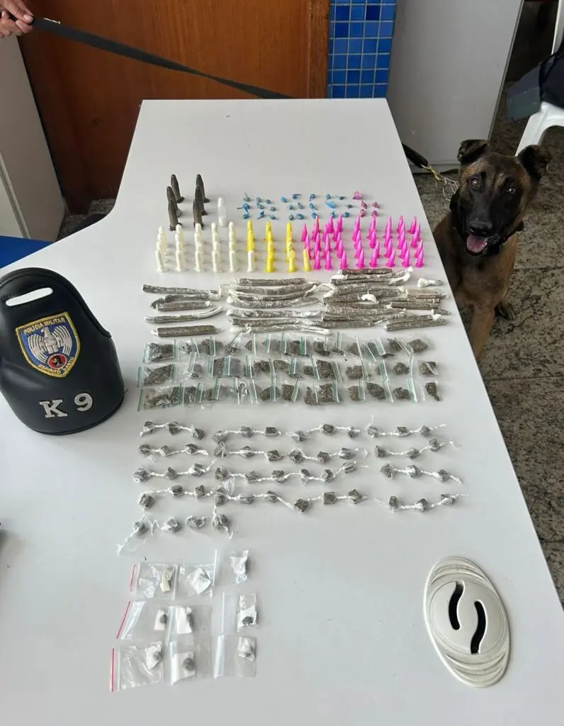 Polícia Militar apreende grande quantidade de drogas com auxílio do cão farejador Zorg em Jacaraípe.