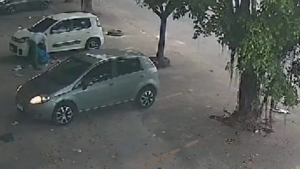 Vídeo: Motorista abandona filhote de cachorro em plena luz do dia em Carapina Homem é flagrado abandonando um filhote de cachorro na Serra.