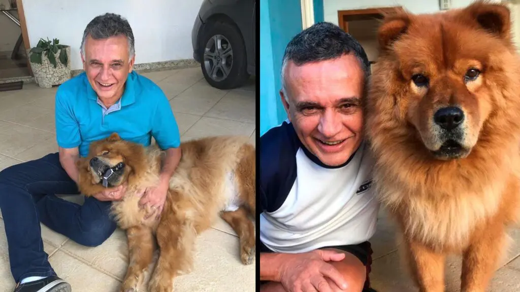Audifax Barcelos promete criação de Secretaria de Bem-Estar e Proteção Animal na Serra Audifax Barcelos discute proposta para criação da Secretaria de Bem-Estar e Proteção Animal na Serra