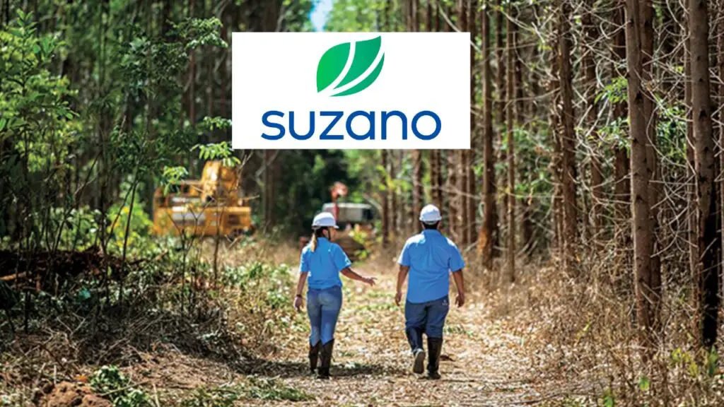Suzano anuncia 16 novas oportunidades de emprego no Espírito Santo Suzano está com novos postos de trabalho abertos no ES.
