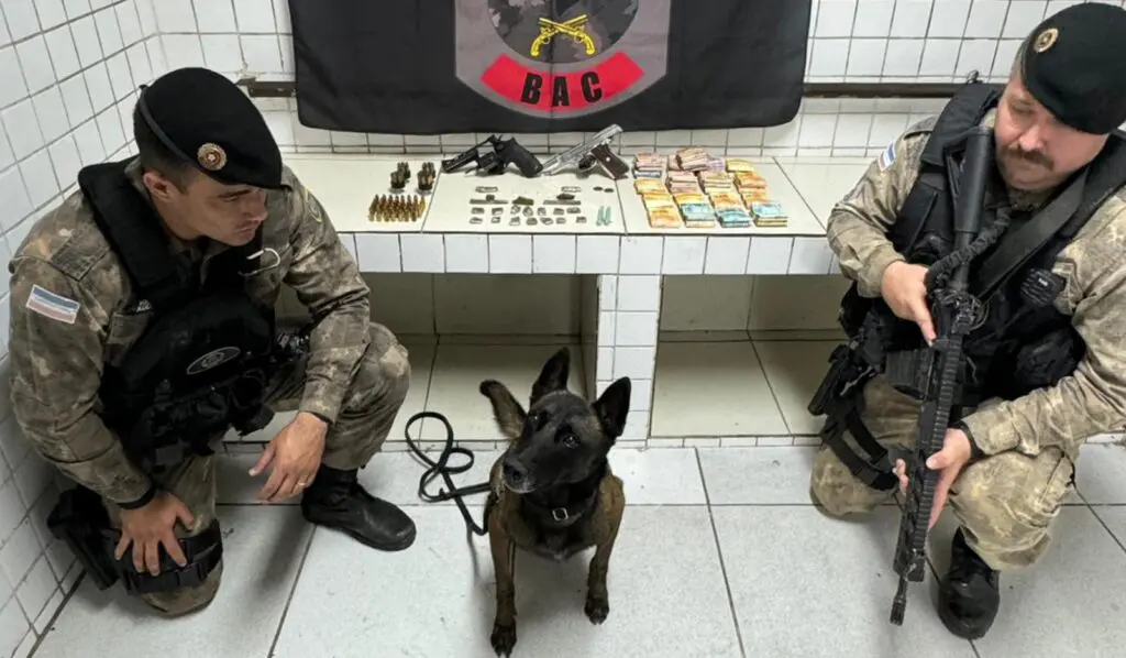 Polícia Militar apreende drogas, armas e mais de 23 mil reais dentro de distribuidora na Serra