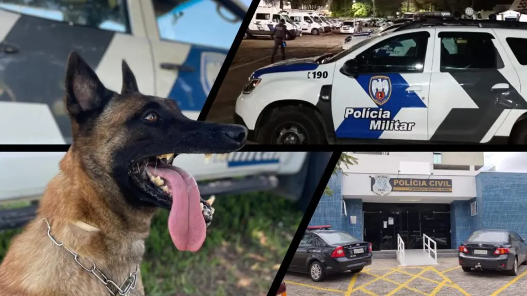 Equipe K9 apreende drogas durante buscas com o cão farejador Apollo na Serra Polícia Militar aprende drogas durante ações com auxílio do cão Apollo na Serra.
