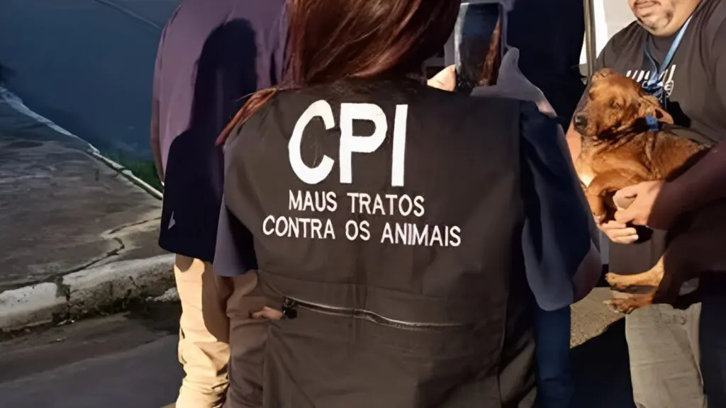 Cachorro come outro devido à fome extrema e tutora acaba presa por maus-tratos em Jacaraípe
