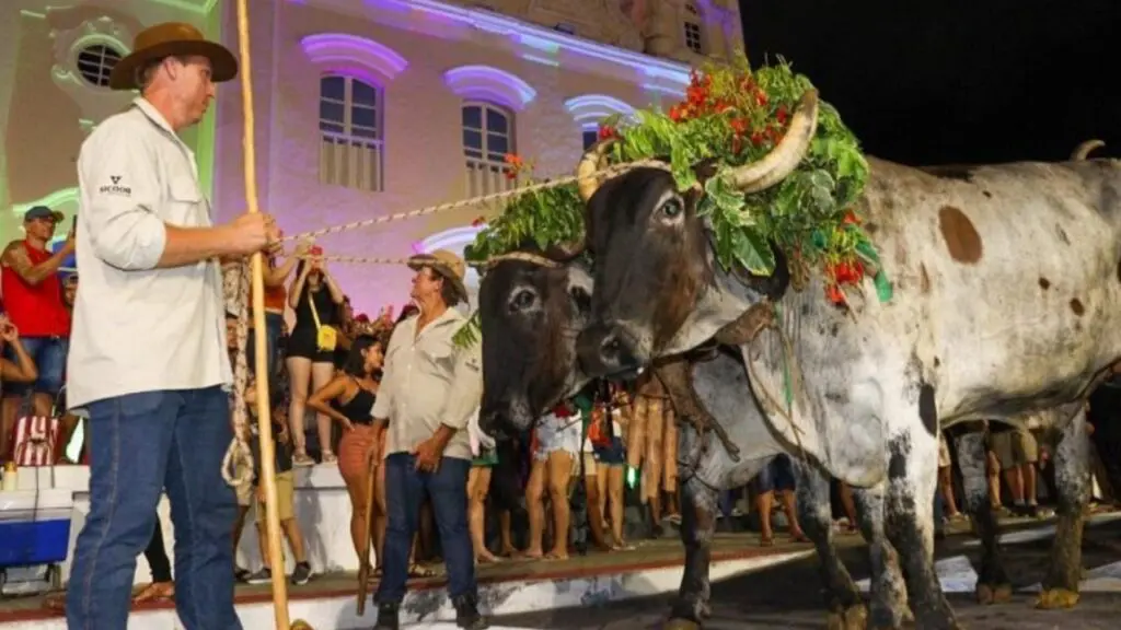 Show especial do cantor Mumuzinho na Serra promete agitar a Festa de São Benedito