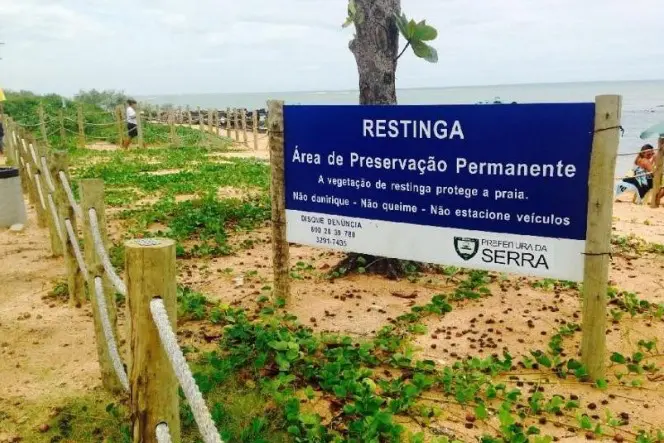 Área vegetação de restinga proximo a uma praia, com uma placa avisando que o local é uma area de preservação permanente.