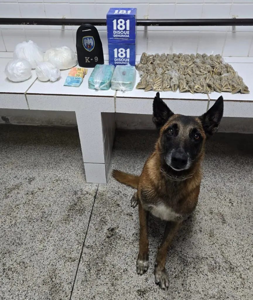Um cão farejador da raça pastor alemão, em frente a uma bancada com 1.145 pinos de cocaína, 4 porções de cocaína pesando aproximadamente 4 kg, 2 tabletes de crack com peso estimado de 2 kg, além de R$ 2.500,00 em dinheiro.