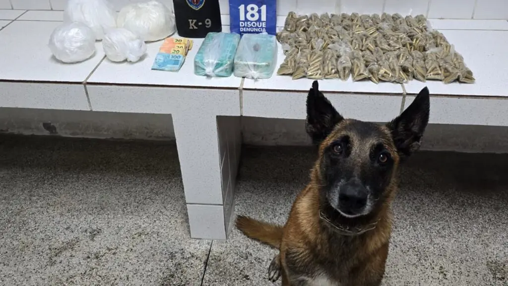 Cão farejador localiza mais de 8 kg de drogas enterradas em área de brejo na Serra