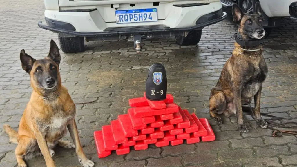 Polícia Militar apreende cerca de 30 tabletes de maconha na Serra.