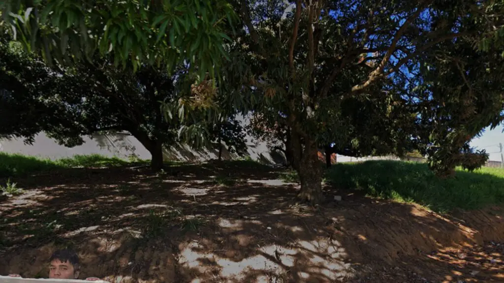 Jovem é encontrado morto sob uma árvore com marcas de tiros na Serra