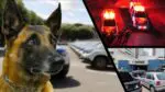 Polícia Militar apreende arma e drogas após confronto com traficantes na Serra.