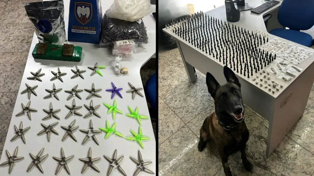 Polícia Militar intensifica ações contra o tráfico e apreende grande quantidade de drogas na Serra Ações da 14ª Companhia Independente resultam em grandes apreensões de drogas em diferentes bairros da Serra