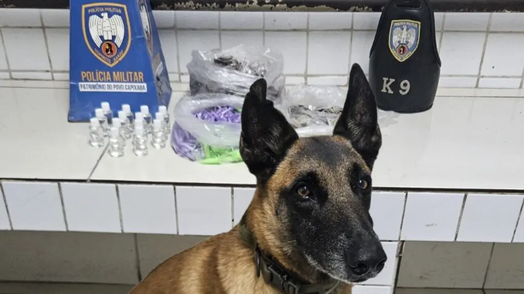 Polícia Militar arrocha traficantes após receber denúncias anônimas e apreende grande quantidade de drogas na Serra