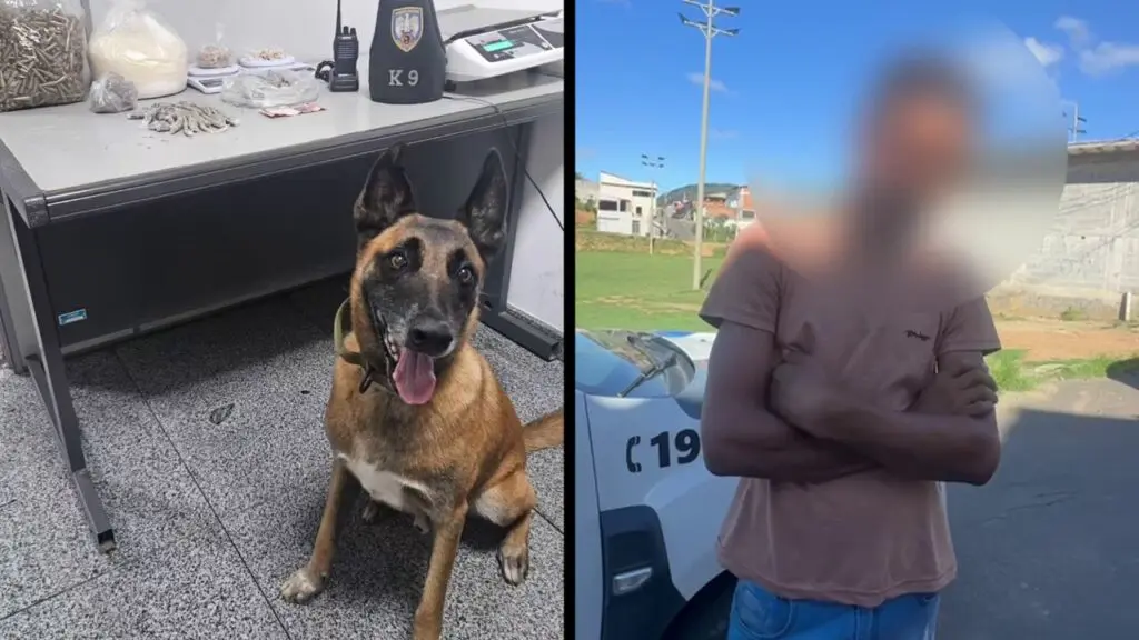 Vídeo: sujeito pede desculpas após tentar impor toque de recolher em bairro da Serra Polícia Militar apreende adolescente e encontra casa recheada de drogas na Serra Adolescente é apreendido e revela casa recheada de drogas na Serra
