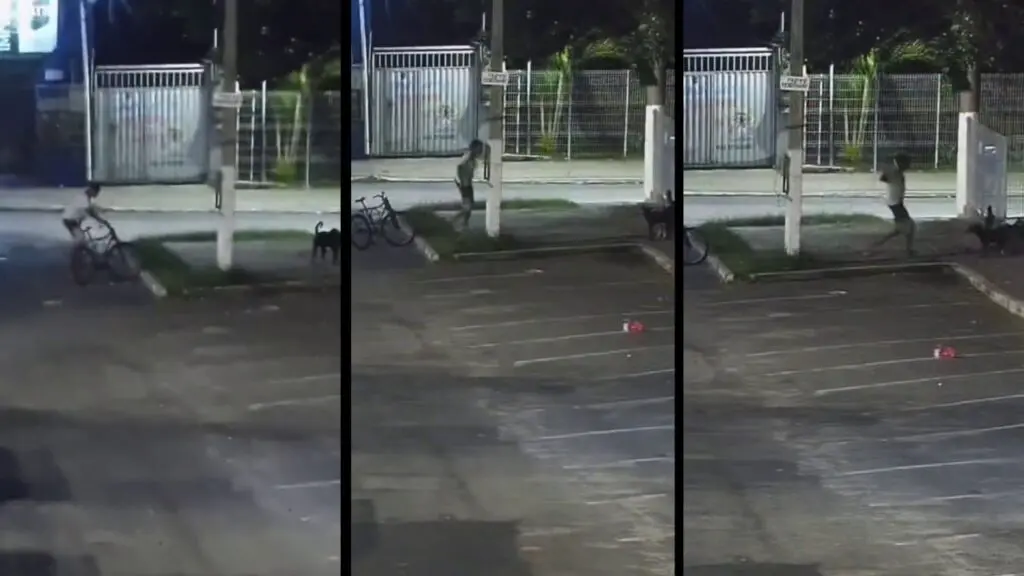 Vídeo: câmera de segurança flagra homem matando cachorro comunitário na Serra Vídeo: Câmera de segurança flagra homem matando cachorro comunitário na Serra