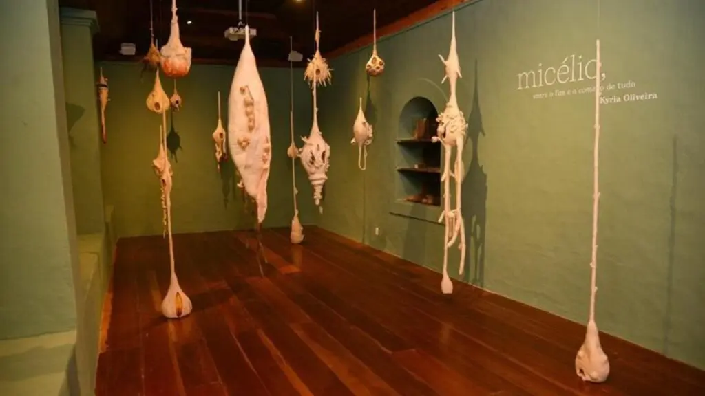 Espaço de arte em Nova Almeida