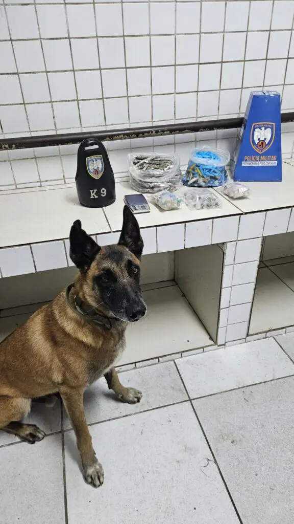 Ação com cão farejador resulta em apreensão de drogas na Serra