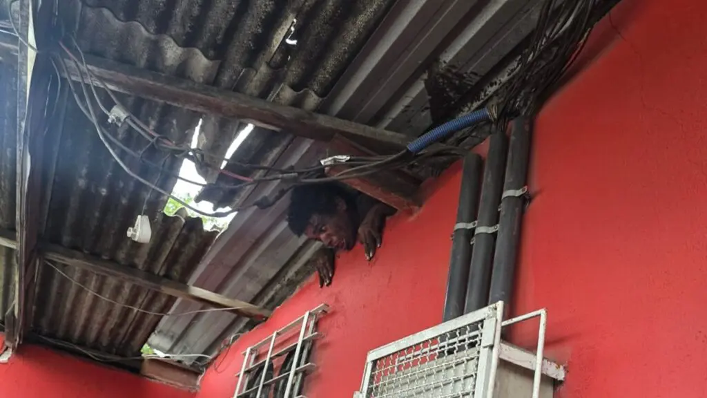 Sujeito invade bar e fica entalado em telhado na Serra