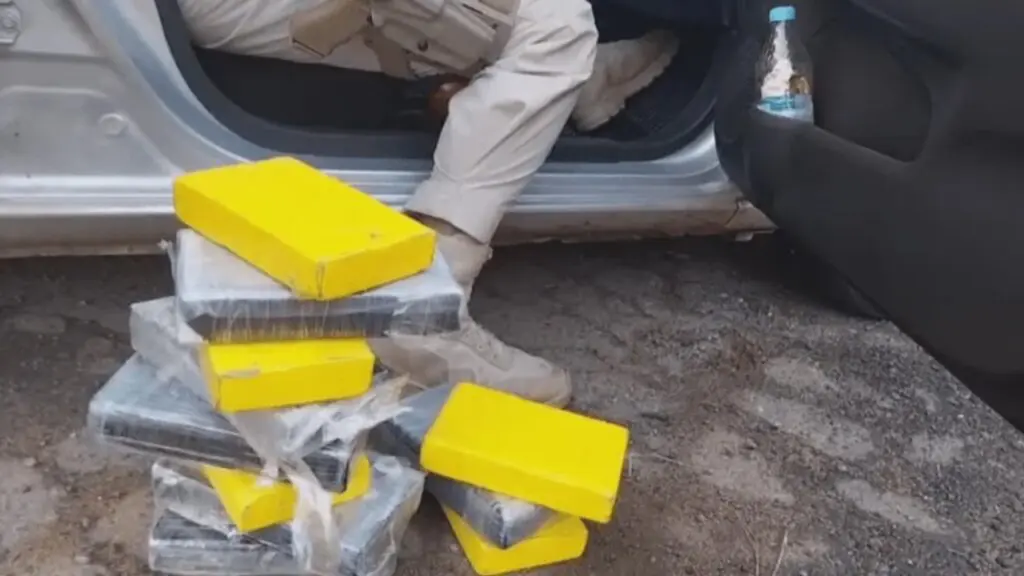 Motorista é preso com 12 kg de cocaína na Serra