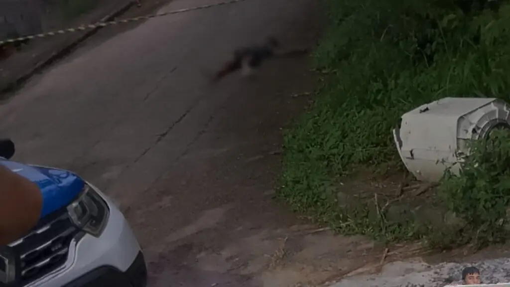 Homem é executado com tiros na cabeça ao sair de carro na Serra Policiais isolam local onde homem foi executado a tiros no Parque Residencial Tubarão, na Serra