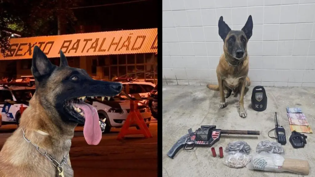 Polícia Militar apreende drogas e arma na Serra