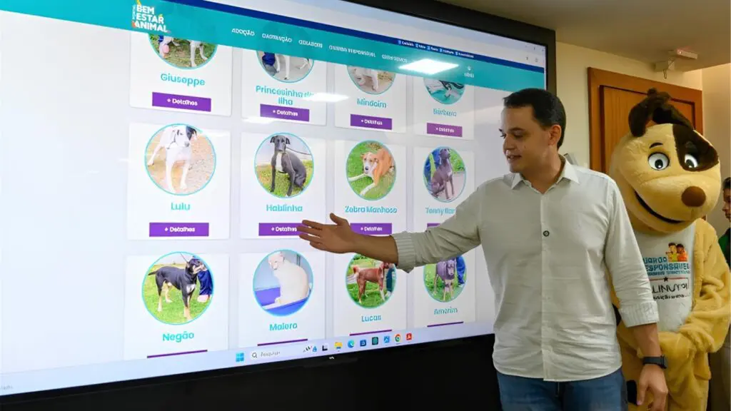 Vitória lança portal de adoção do programa Pata Vix para facilitar adoções de cães e gatos online Vitória lança portal de adoção do programa Pata Vix para facilitar adoções de cães e gatos