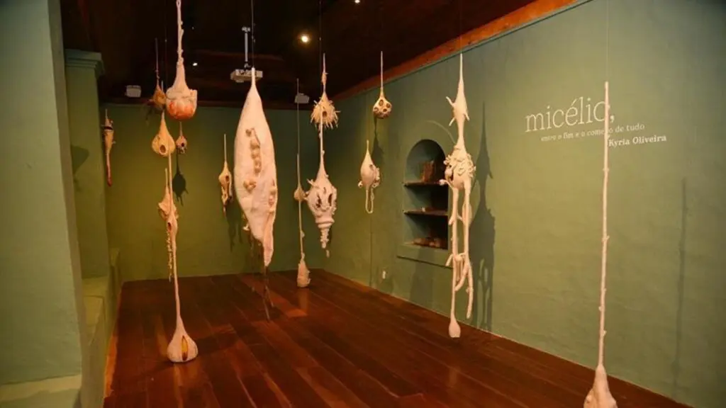 Exposição “Micélio” é prorrogada na Igreja dos Reis Magos, em Nova Almeida