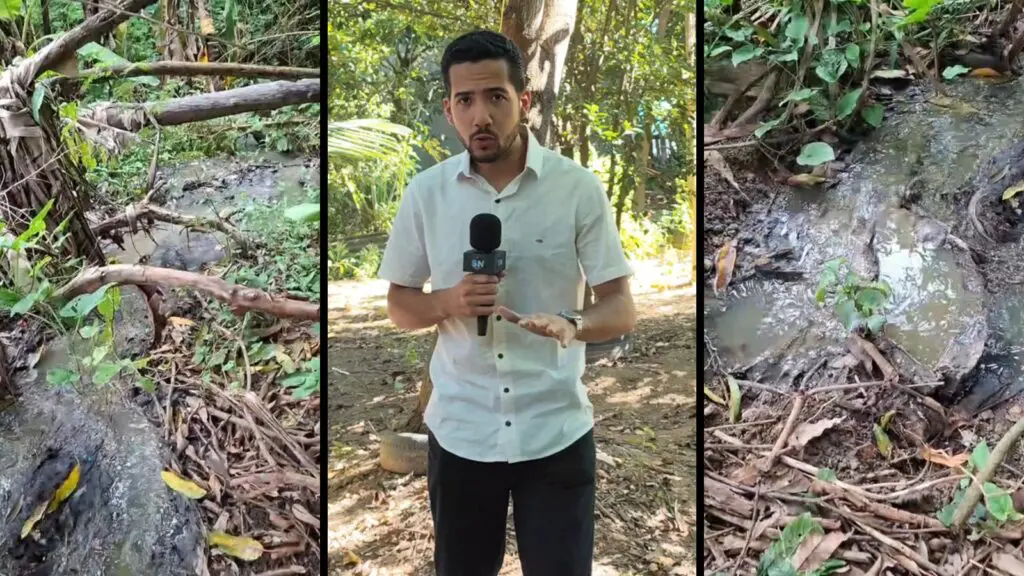 Moradores denunciam vazamento de esgoto em área de preservação ambiental na Serra