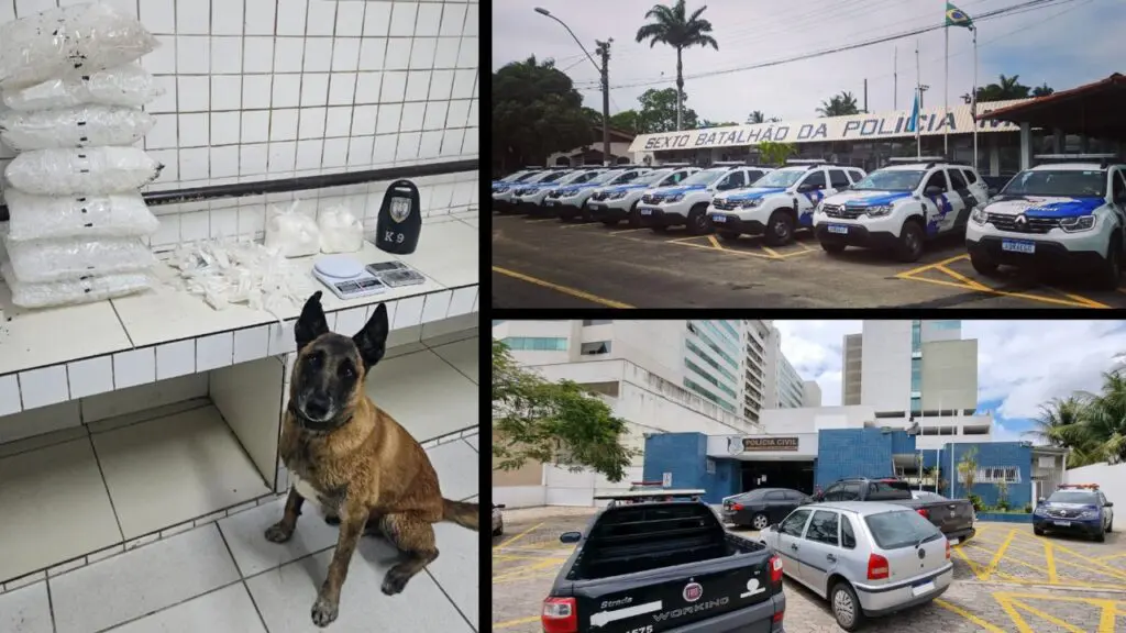 PM arrocha traficantes armados e apreende mais de 3 kg de cocaína em mangue na Serra Apreensão de drogas após tiroteio em área de mangue da Serra