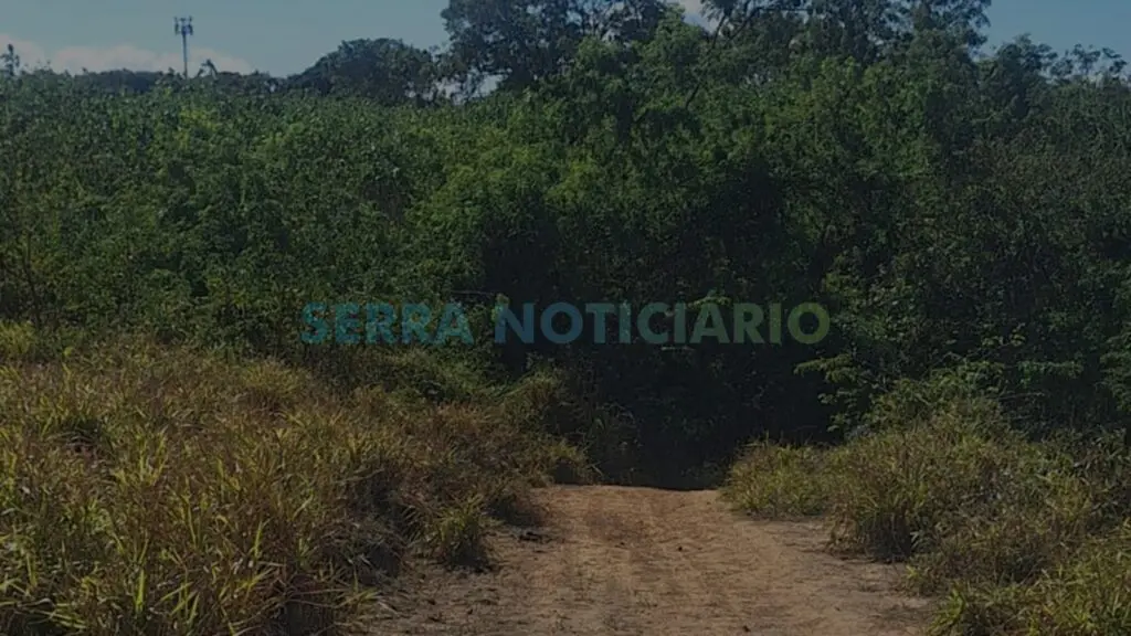 Área de mata na Serra entre Nova Zelândia e Vila Nova de Colares onde corpo foi encontrado