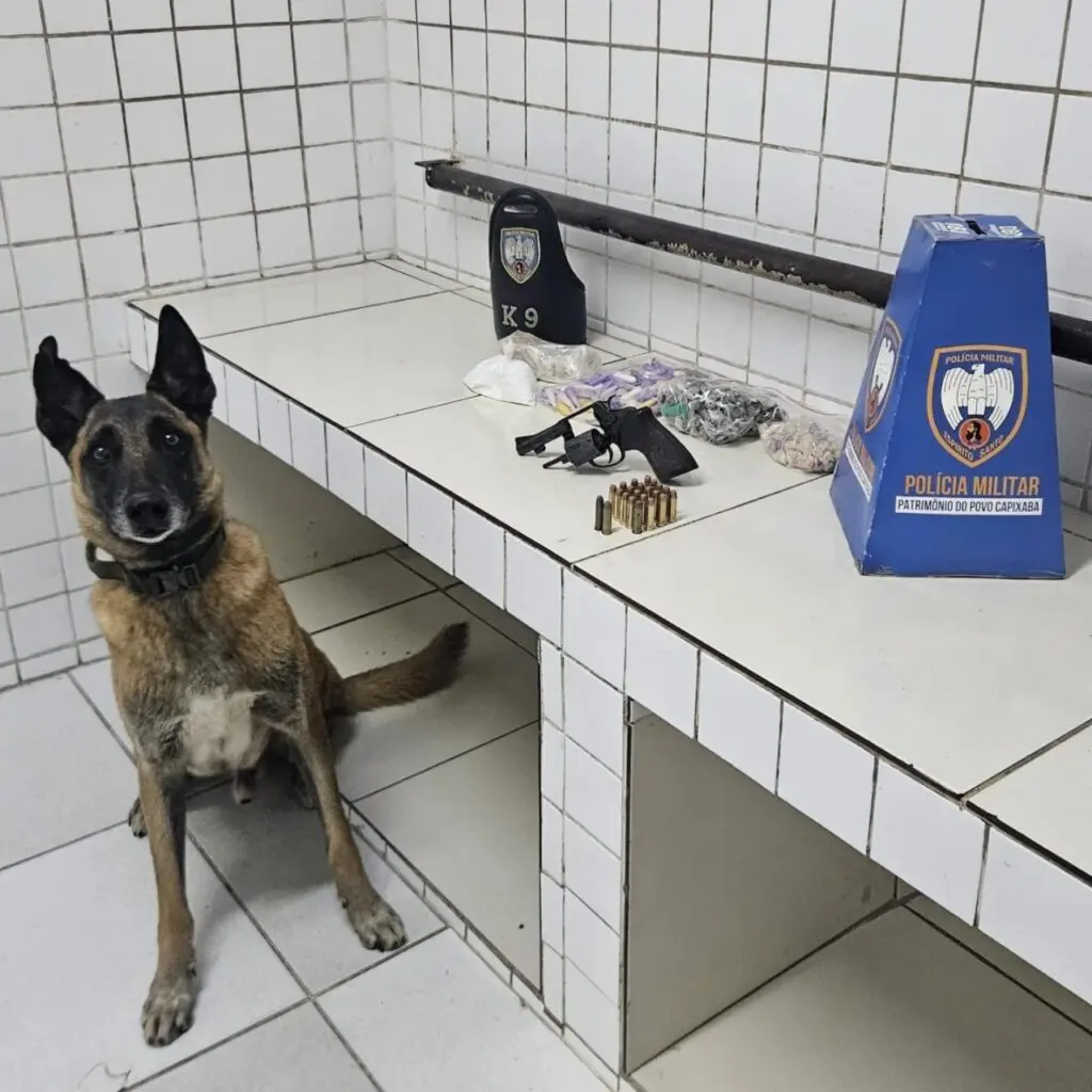 Uma sala de uma delegacia onde um cachorro farejador da raça pastor alemão, ao lado de materiais apreendidos que estão sobre uma bancada um revólver calibre .38 acompanhado de 22 munições do mesmo calibre. Também foram apreendidas 102 porções de maconha, 7 unidades de haxixe, 114 pedras de crack, 142 pinos de cocaína e uma porção da mesma substância pesando 155 gramas.