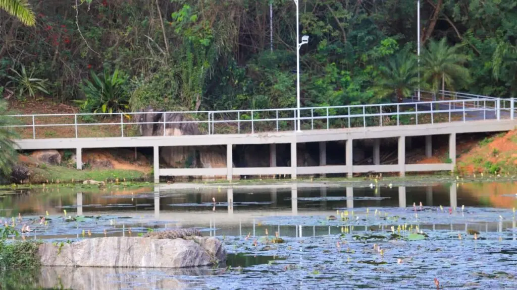 Imagem de uma das paisagens do Jardim Botânico Lêonidas Pinto Mori.