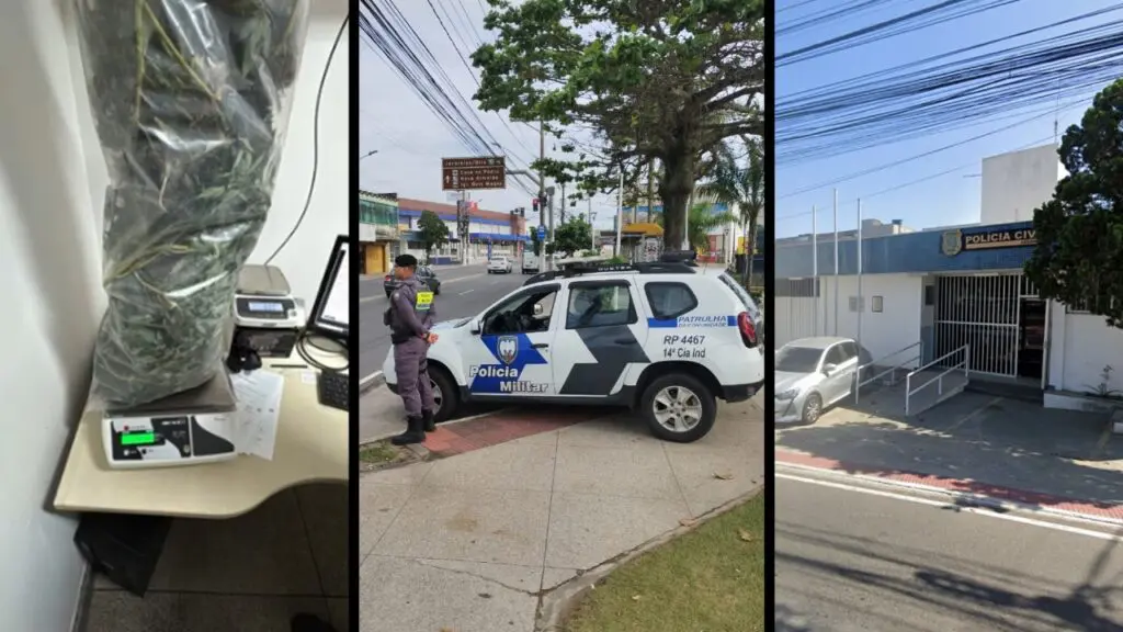 Polícia Militar encontra 10 kg de maconha em estufa montada dentro de casa na Serra Polícia Militar encontra plantação de maconha em casa usada pelo tráfico em Jacaraípe