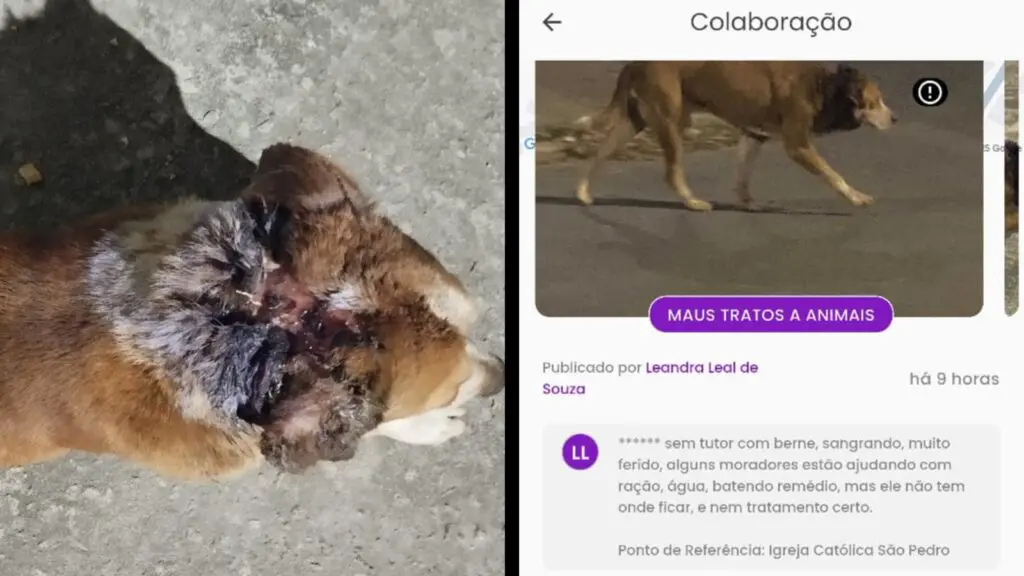 Cachorro gravemente ferido em Vista da Serra I continua sem resgate. Moradores provam que pedido foi registrado no ARCA, apesar da negação da Prefeitura.