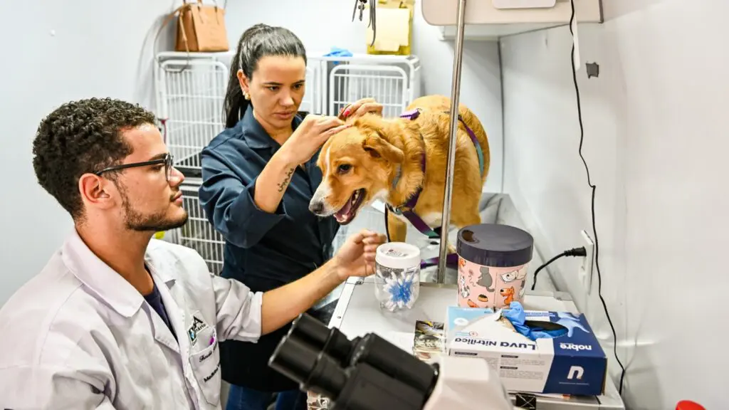 Processo seletivo aberto para engenheiros e veterinários com salários de até R$ 7,2 mil