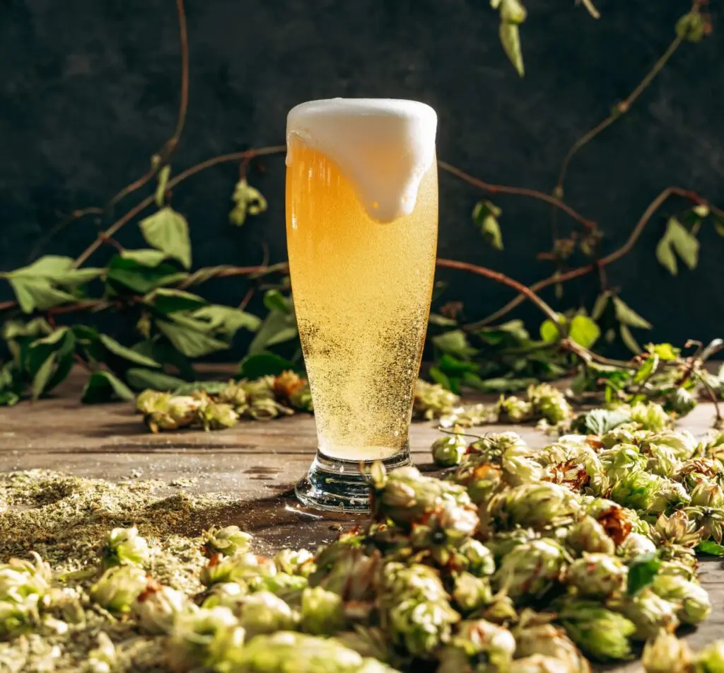 Um copo de cerveja sobre uma mesa de madeira rustica e lúpulo espalhada em volta do copo,