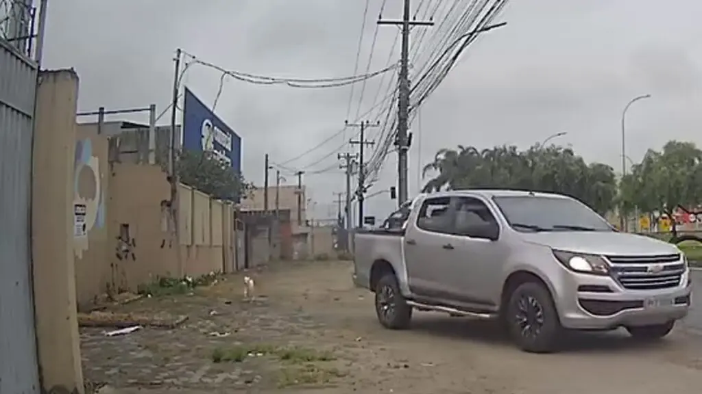 Cachorro é abandonado na BR-101 na Serra